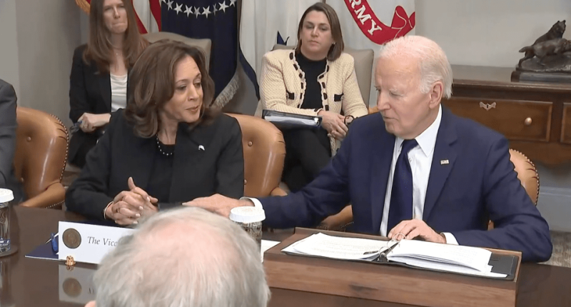 President Joe Biden made a tone-deaf joke in a live update on the deadly LA fires