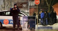 Montenegro shooting suspect, Aleksandar Martinovic dies after suicide attempt