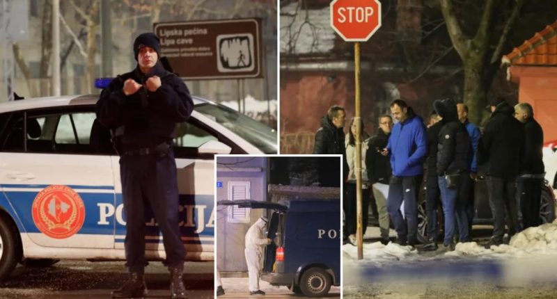 Montenegro shooting suspect, Aleksandar Martinovic dies after suicide attempt