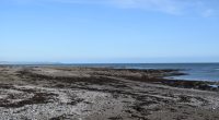 Downderry Beach in Cornwall, England.
