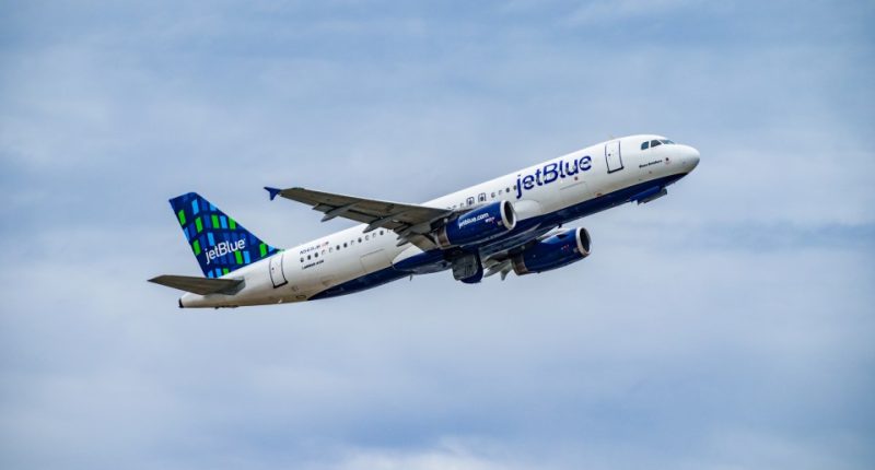 Two bodies were found inside a JetBlue plane after it touched down in Florida