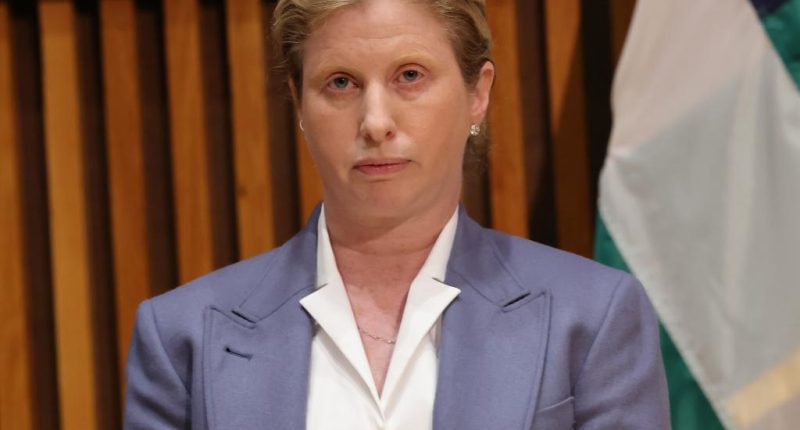 NYPD Commissioner Tisch calls for revue of car leasing program abused by top brass: sources