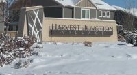 Snow-covered Harvest Junction Village sign.