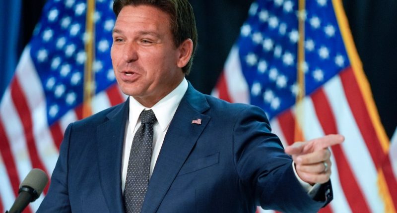Governor Ron DeSantis has signed a law that cracks down on underage Americans viewing explicit material