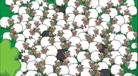 Illustration of a large flock of sheep with several black sheep among them.
