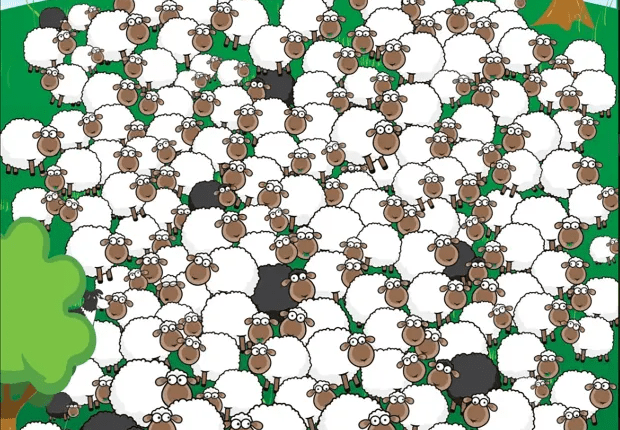Illustration of a large flock of sheep with several black sheep among them.