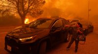 Pacific Palisades inferno forces thousands to flee California homes; 'life-threatening' winds whip wildfire