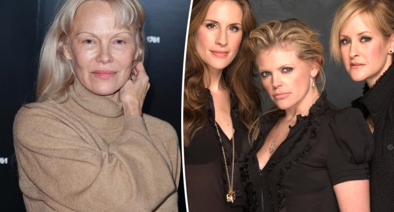 Pamela Anderson 'almost got killed' by man who thought she was a Dixie Chick