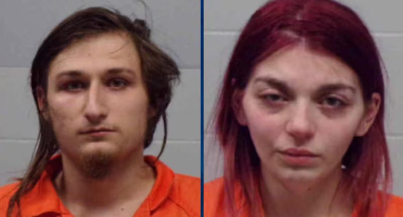 Parents Ignore Baby’s Injuries for Hours Until She Stops Breathing