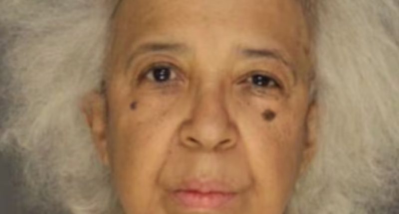 Pittsburgh Woman Accused of Getting Boy Shoveling Her Snow Drunk, Sexually Assaulting Them