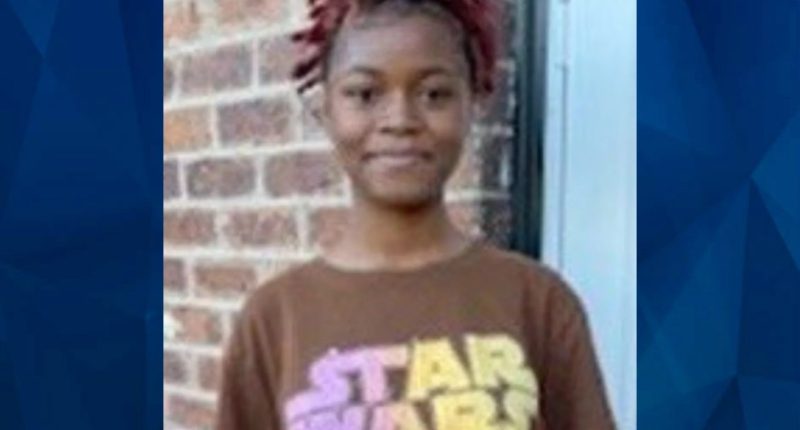 Police Provide Update on Missing 13-Year-Old Girl Found Murdered in Vacant Home, 2 Teens Arrested