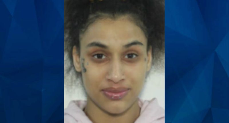 Pregnant Georgia Mom, Wanted for Death of Infant, Arrested in New York State