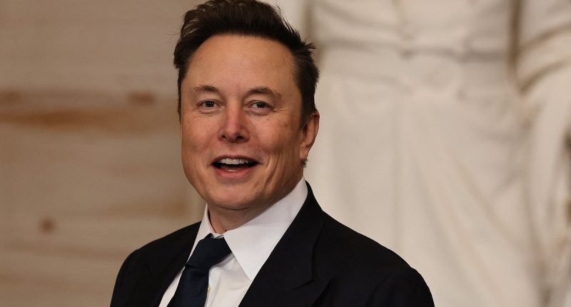 President Trump could be losing control of Elon Musk