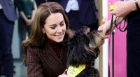 Princess of Wales 'beelines' for therapy dog during hospital visit