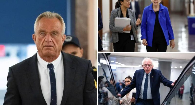 RFK Jr. to meet with slew of Dems including Elizabeth Warren, Bernie Sanders