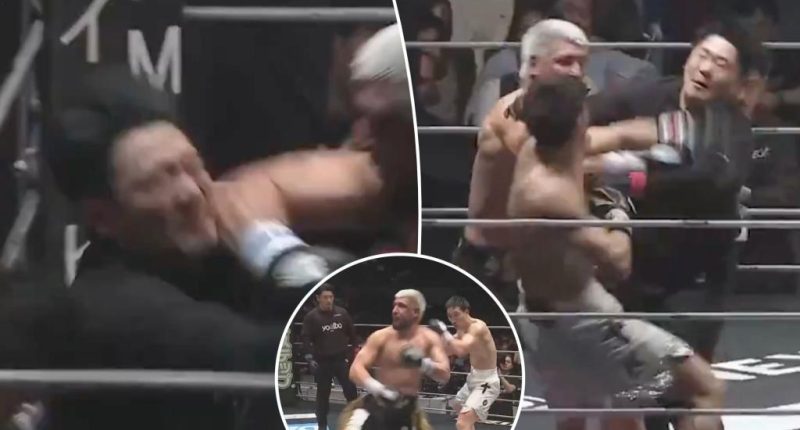 Referee punched in the face multiple times in chaotic boxing scene