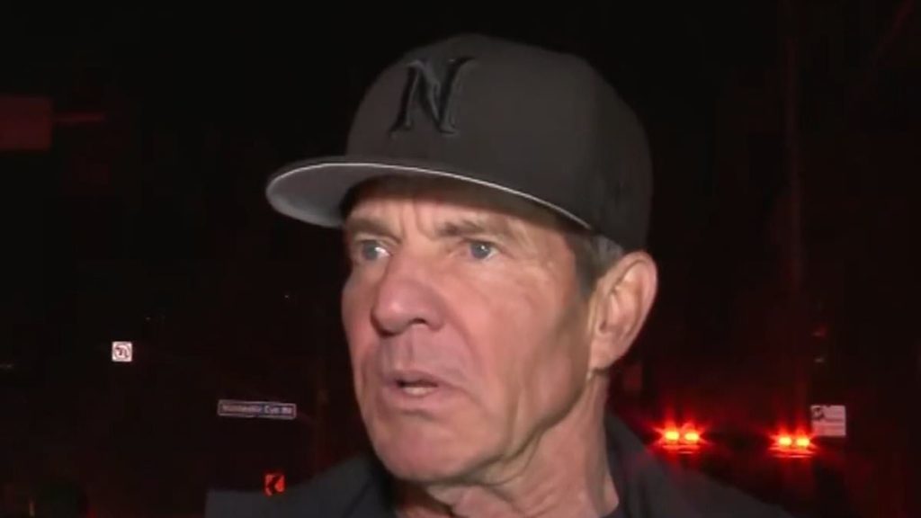 Reporter slammed for cringey Dennis Quaid interview amid LA fires