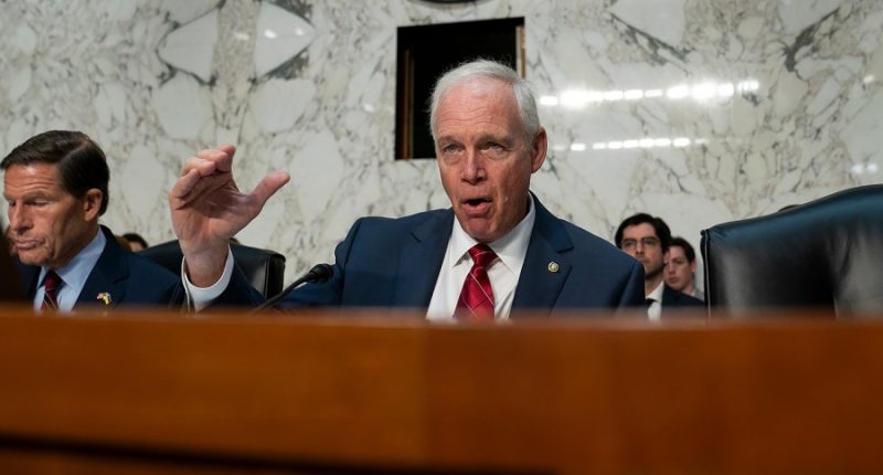 Ron Johnson expresses concern Israel 'coerced' into ceasefire agreement