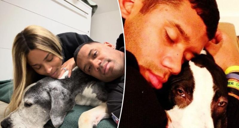Russell Wilson devastated after death of his beloved dog Prince