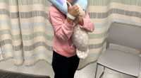 Girl in hospital with neck pillow and stuffed animal.