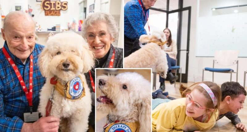 Senior LI power couple, dog spend retirement helping kids
