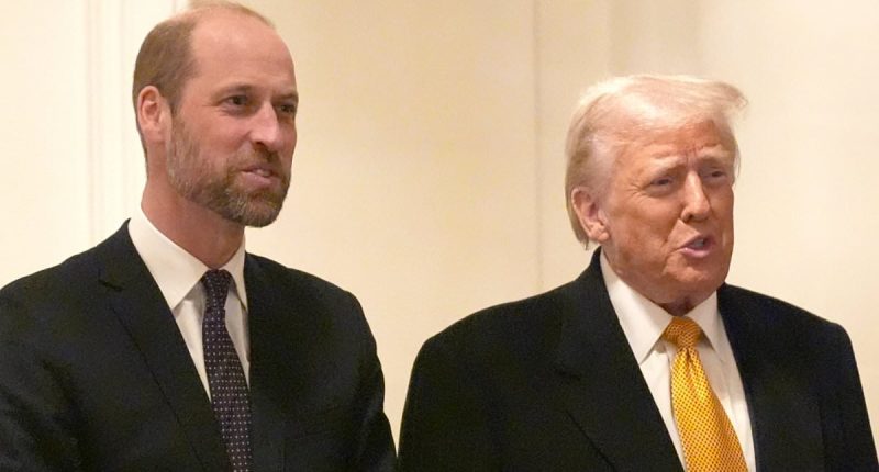 Senior royals are 'being lined up for royal American tour in 2026