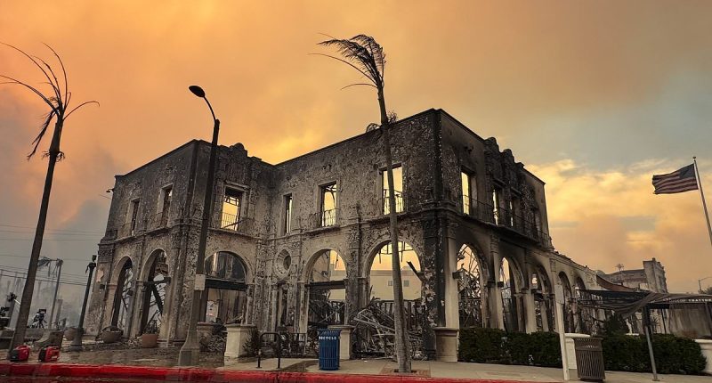 Shocking before and after pictures show brutal force of LA wildfires