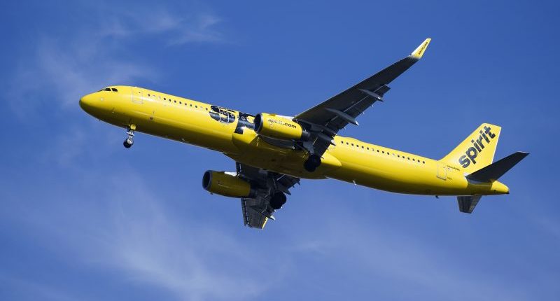 Spirit Airlines passengers can now be removed from flight for 'offensive' tattoos, clothing