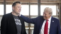 Steve Bannon wants to 'take down' the 'evil, racist' Elon Musk