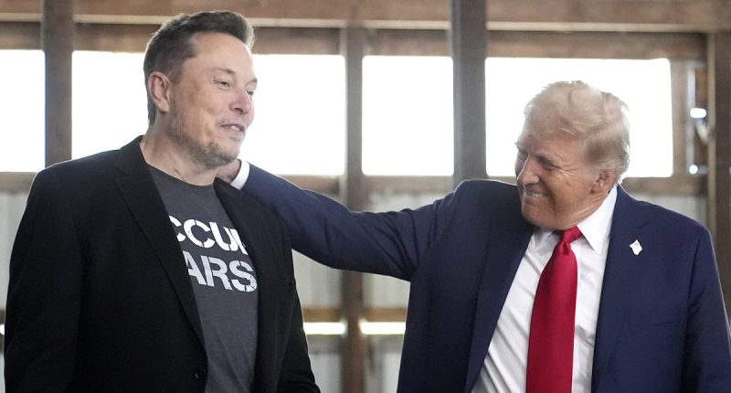 Steve Bannon wants to 'take down' the 'evil, racist' Elon Musk