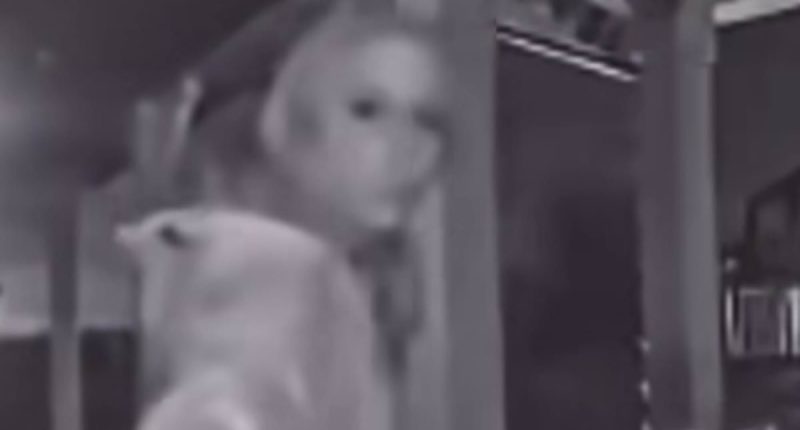 Stroller Karen's shocking treatment of wealthy black neighbor exposed