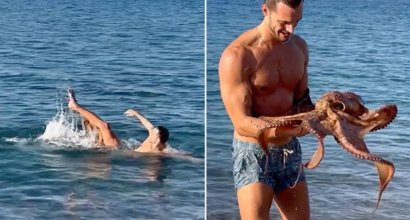 Swimmer shocked as octopus latches on during ocean swim: video