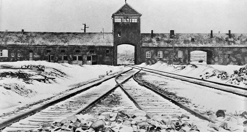 Teenager visiting Auschwitz solves mystery after 80 years