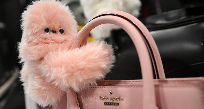 The weird and wonderful CES tech gadgets coming to a store near you