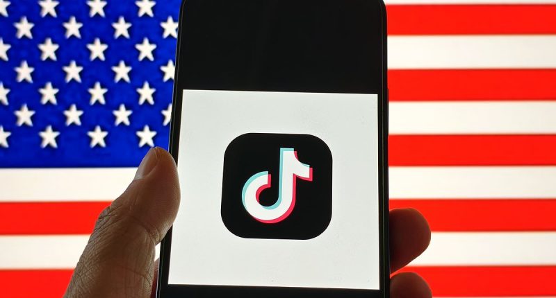TikTok finally goes dark...but the banned app hails Trump 'solution'