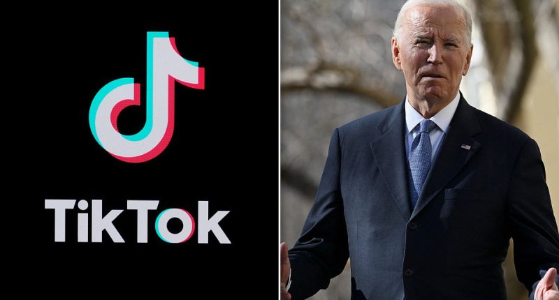TikTok says it plans to 'go dark' on Sunday unless Biden intervenes