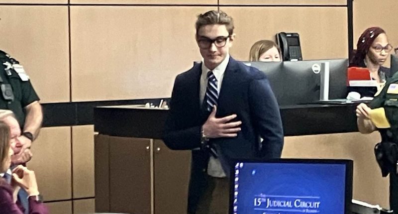 TikTokker AVOIDS 90-year jail sentence for killing 6