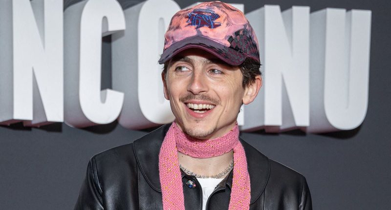 Timothee Chalamet leaves fans swooning after speaking in French