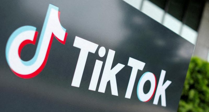 Trump TikTok ban slam's dead wrong, and new China spy revelations show why