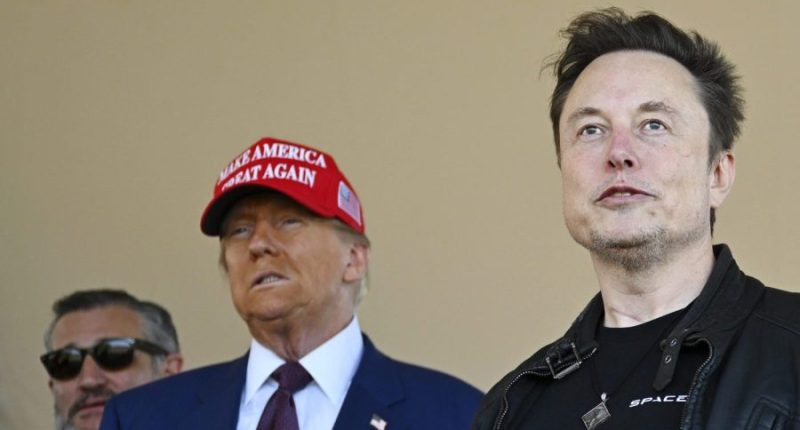 Trump asks Musk to 'go get' NASA astronauts stuck in space