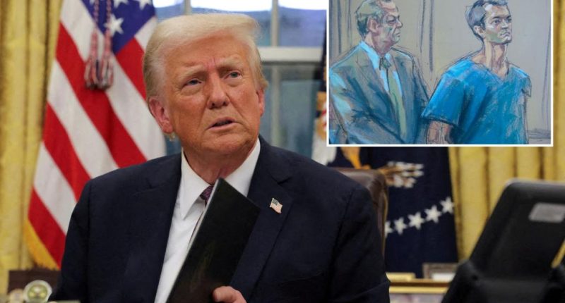 Trump expected to pardon Silk Road founder Ross Ulbricht, vacating life sentence