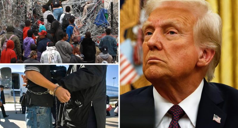 Trump gives ATF, DEA and Marshals new powers to arrest and deport illegal migrants