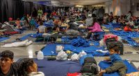 Trump plans mass deportation raids within 24 hours of taking office