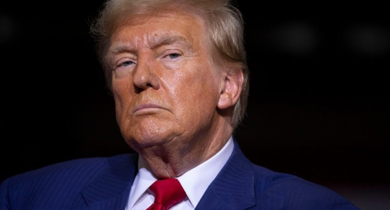 Donald Trump at a campaign event.