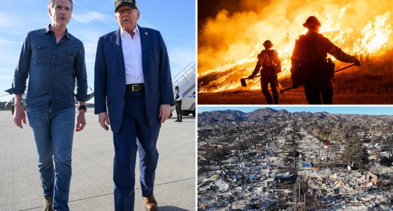 Trump says US military has ‘turned on the water’ in wildfire-ravaged California