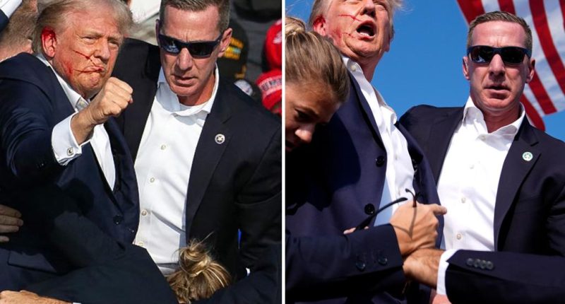 Trump taps Sean Curran, the agent who rushed on stage during Butler assassination attempt, to lead Secret Service 