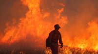Firefighter battling a wildfire.