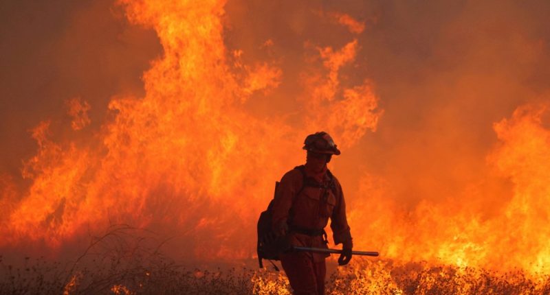 Firefighter battling a wildfire.