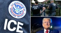 Trump's ICE raids for criminal migrants expands into LA