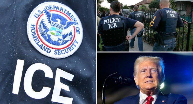 Trump's ICE raids for criminal migrants expands into LA
